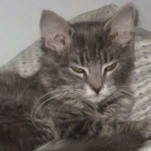 Meet your Posher, Mary ann